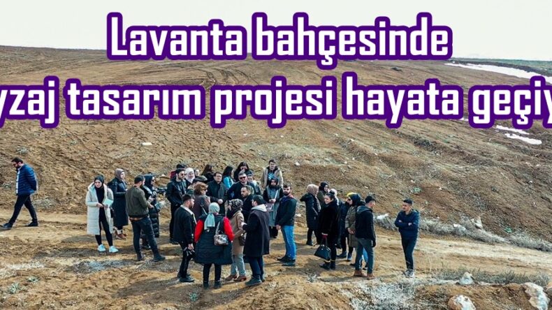 Lavanta bahçesinde peyzaj tasarım projesi hayata geçiyor.