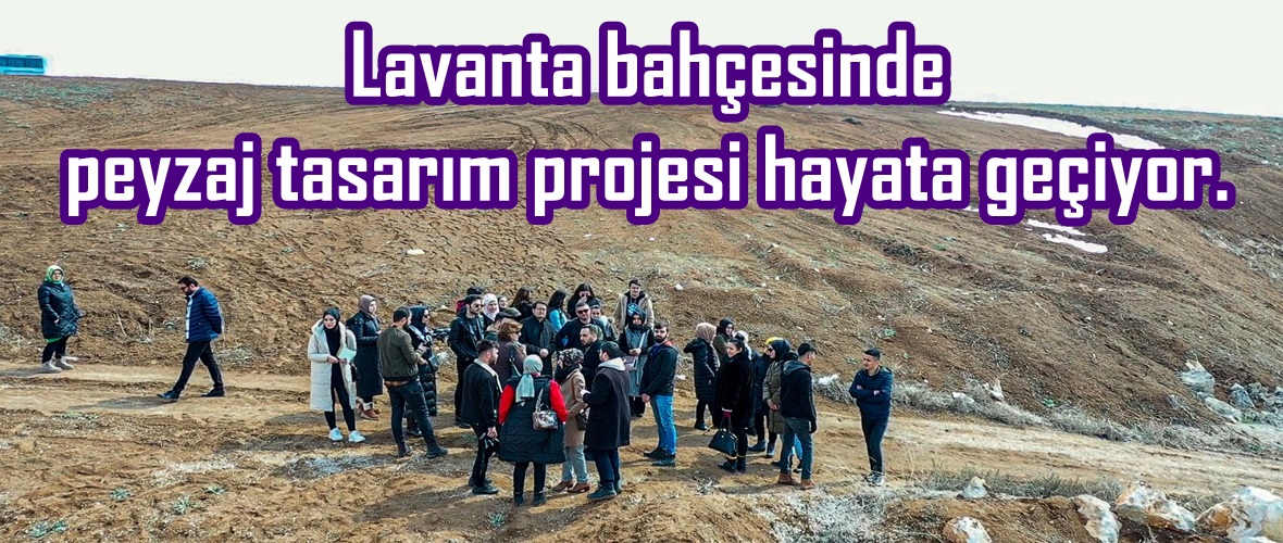 Lavanta bahçesinde peyzaj tasarım projesi hayata geçiyor.