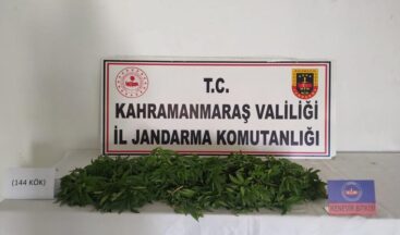 Elbistan’da Kenevir Operasyonu!