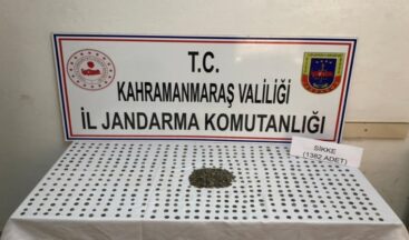 Jandarma 1382 Adet Sikke ele geçirdi.