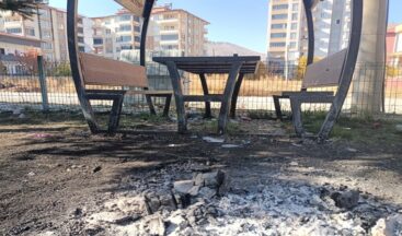 Elbistan’da Kamelyalara yapılan çirkin saldırıya büyük tepki!