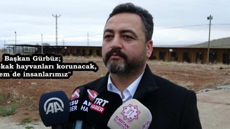 Başkan Gürbüz; “Hem sokak hayvanları korunacak, hem de insanlarımız”