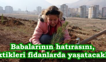 Babalarının hatırasını, diktikleri fidanlarda yaşatacaklar.