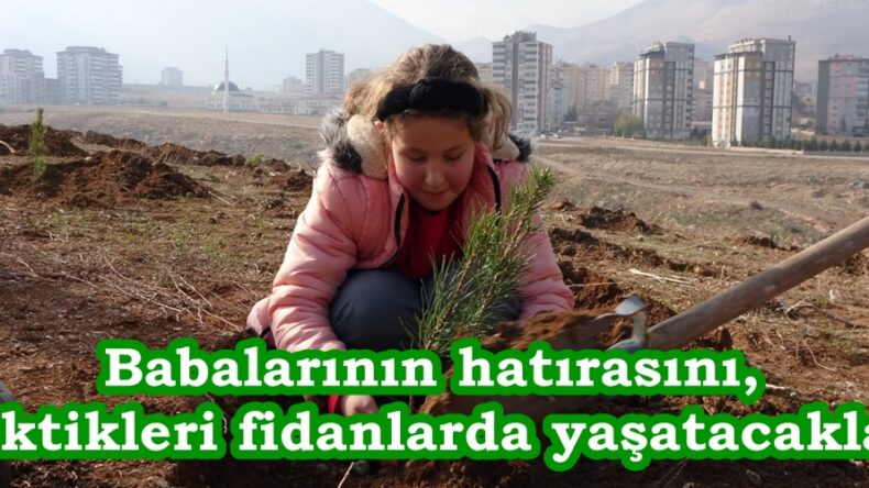 Babalarının hatırasını, diktikleri fidanlarda yaşatacaklar.