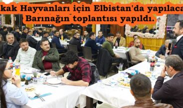 Sokak Hayvanları için Elbistan’da yapılacak Barınağın toplantısı yapıldı.
