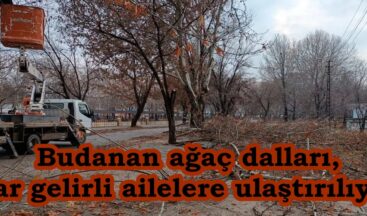 Budanan ağaç dalları, dar gelirli ailelere ulaştırılıyor.