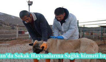 Elbistan’da Sokak Hayvanlarına Sağlık hizmeti başladı.