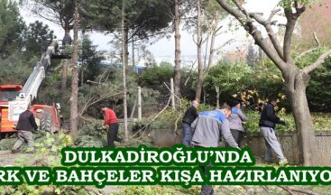 DULKADİROĞLU’NDA PARK VE BAHÇELER KIŞA HAZIRLANIYOR