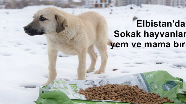Elbistan’da Sokak hayvanları için yem ve mama bırakıldı.