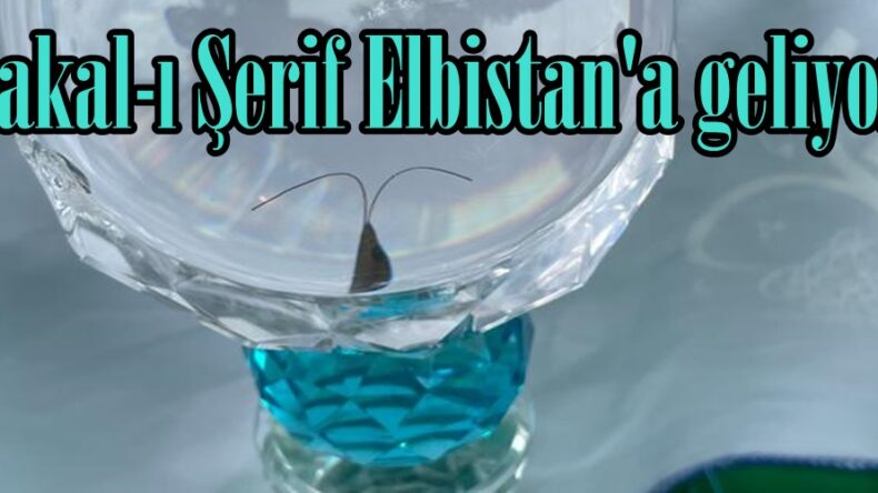 Sakal-ı Şerif Elbistan’a geliyor.