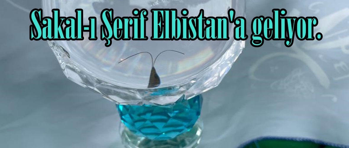 Sakal-ı Şerif Elbistan’a geliyor.