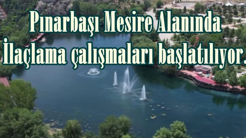 Pınarbaşı Mesire Alanında İlaçlama çalışmaları başlatılıyor.
