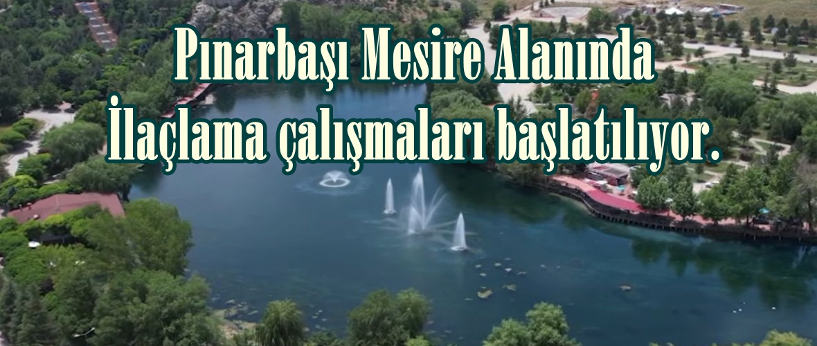 Pınarbaşı Mesire Alanında İlaçlama çalışmaları başlatılıyor.