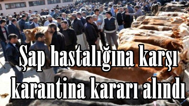 Şap hastalığına karşı karantina kararı alındı.