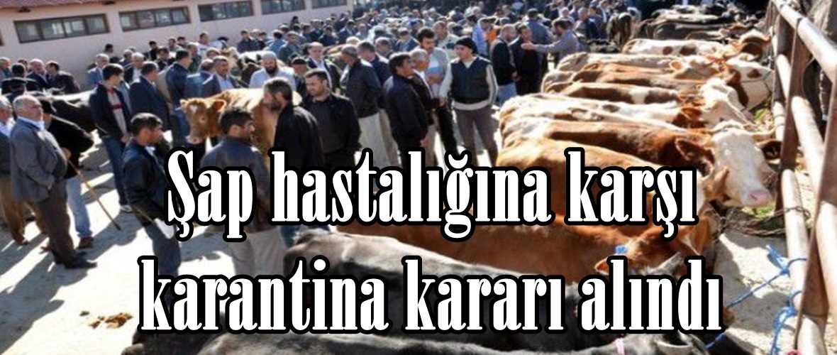 Şap hastalığına karşı karantina kararı alındı.