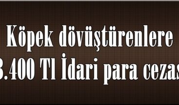 Köpek dövüştürenlere 33.400 Tl İdari para cezası.