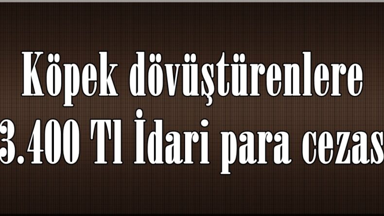 Köpek dövüştürenlere 33.400 Tl İdari para cezası.