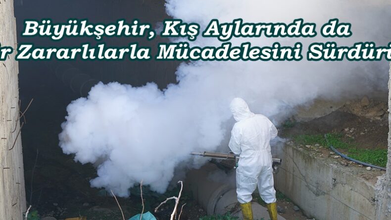 Büyükşehir, Kış Aylarında da Vektör Zararlılarla Mücadelesini Sürdürüyor.