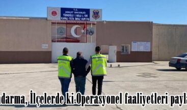 Jandarma, İlçelerde ki Operasyonel faaliyetleri paylaştı.