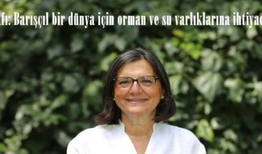 TEMA Vakfı: Barışçıl bir dünya için orman ve su varlıklarına ihtiyacımız var!