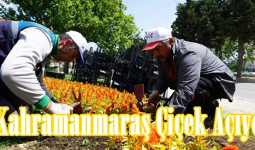 Kahramanmaraş Çiçek Açıyor.