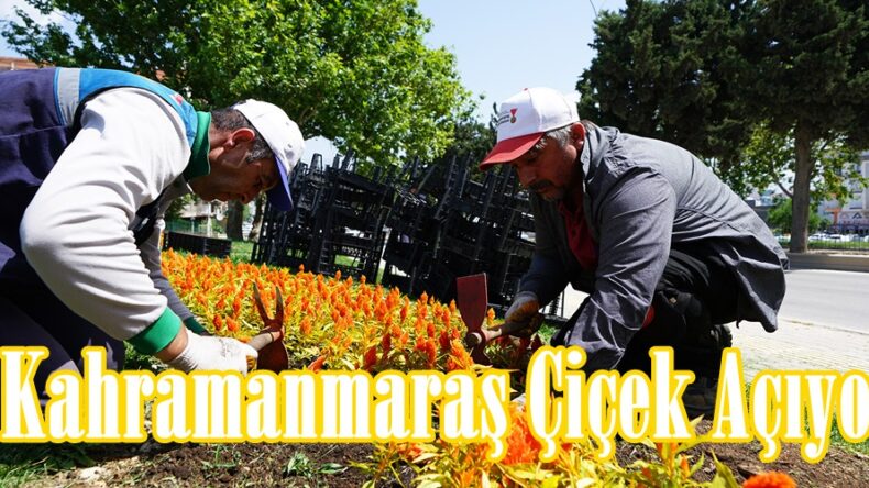 Kahramanmaraş Çiçek Açıyor.