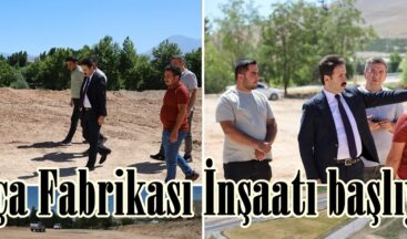 Salça Fabrikası İnşaatı başlıyor.