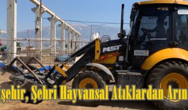 Büyükşehir, Şehri Hayvansal Atıklardan Arındırıyor.