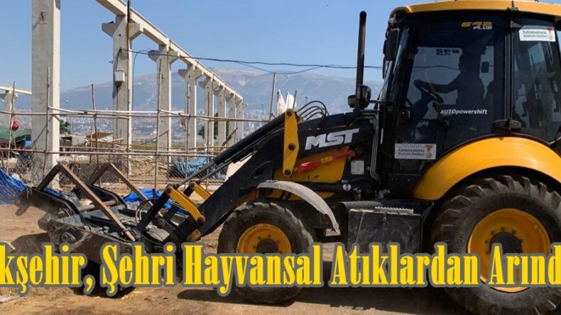 Büyükşehir, Şehri Hayvansal Atıklardan Arındırıyor.