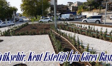 Büyükşehir, Kent Estetiği İçin Görev Başında.