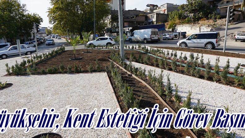 Büyükşehir, Kent Estetiği İçin Görev Başında.