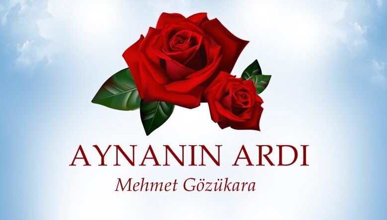 AYNANIN ARDI