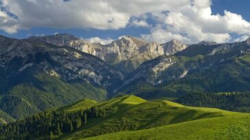 DAĞLARIN TÜRKÜSÜ