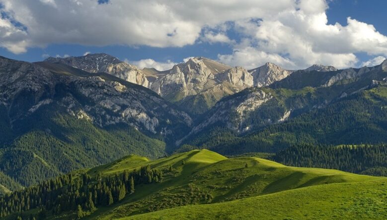 DAĞLARIN TÜRKÜSÜ