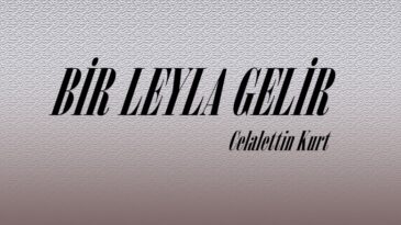 BİR LEYLA GELİR