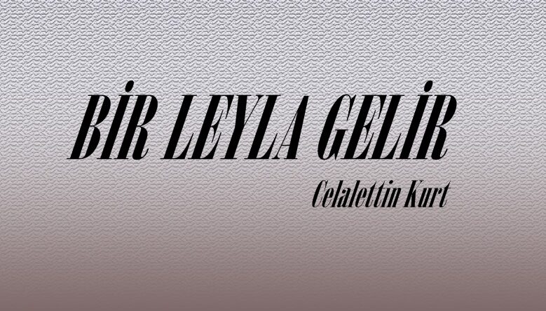 BİR LEYLA GELİR