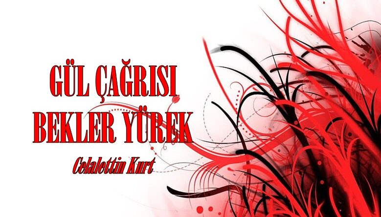 GÜL ÇAĞRISI BEKLER YÜREK