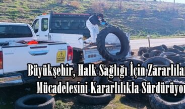 Büyükşehir, Halk Sağlığı İçin Zararlılarla Mücadelesini Kararlılıkla Sürdürüyor.