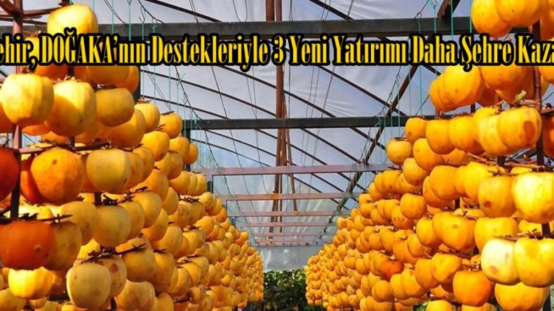 Büyükşehir, DOĞAKA’nın Destekleriyle 3 Yeni Yatırımı Daha Şehre Kazandırıyor.