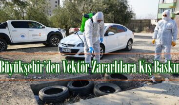 Büyükşehir’den Vektör Zararlılara Kış Baskını.