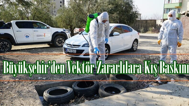 Büyükşehir’den Vektör Zararlılara Kış Baskını.