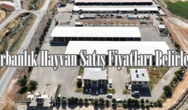 Kurbanlık Hayvan Satış Fiyatları Belirlendi.