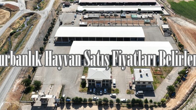 Kurbanlık Hayvan Satış Fiyatları Belirlendi.