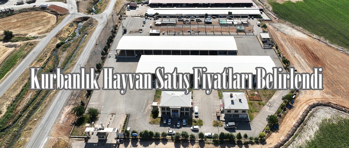 Kurbanlık Hayvan Satış Fiyatları Belirlendi.