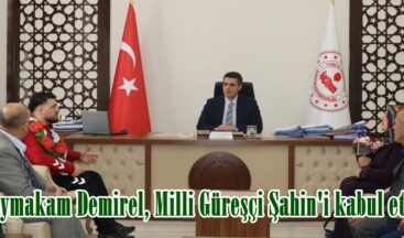 Kaymakam Demirel, Milli Güreşçi Şahin’i kabul etti.