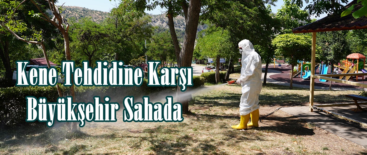 Kene Tehdidine Karşı Büyükşehir Sahada.