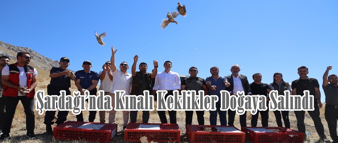 Şardağı’nda Kınalı Keklikler Doğaya Salındı.