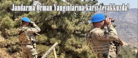 Jandarma Orman Yangınlarına karşı teyakkuzda!