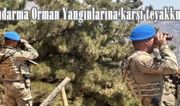 Jandarma Orman Yangınlarına karşı teyakkuzda!