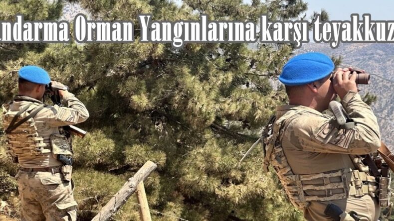 Jandarma Orman Yangınlarına karşı teyakkuzda!